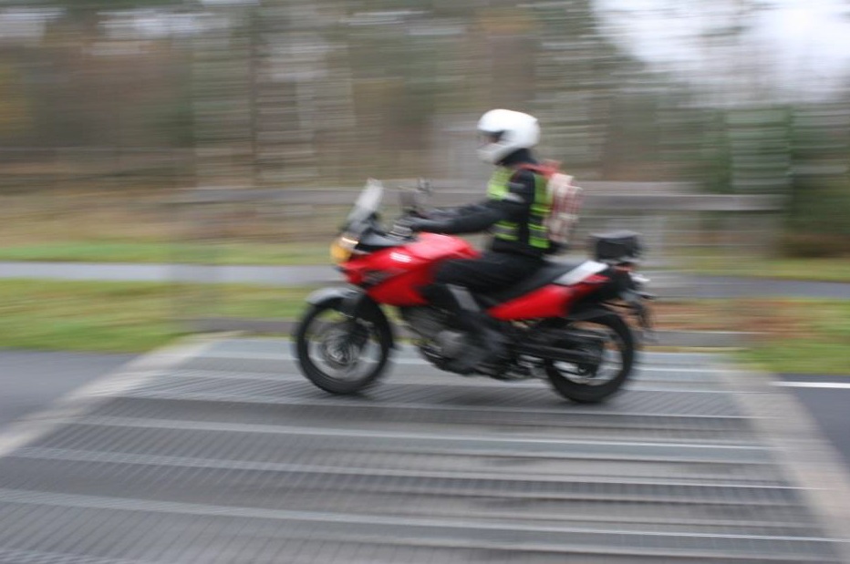 Wildrooster motorrijder